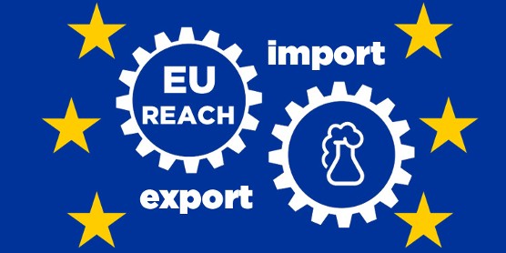 Import UE : contrôle des produits soumis aux restrictions REACH