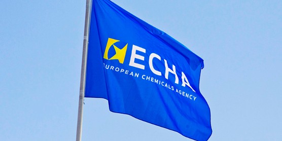 Règlement REACH (UE) : bilan 2019 des contrôles de l’ECHA