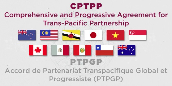 Accord transpacifique : entrée en vigueur au Chili et candidature du Royaume-Uni