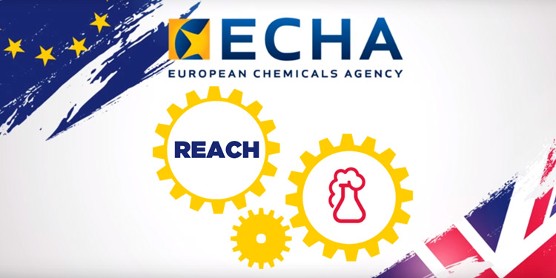 REACH & BREXIT : un cocktail détonnant pour les entreprises européennes !