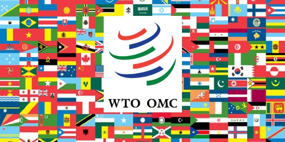 OMC : Mme Ngozi Okonjo-Iweala nommée nouvelle directrice générale