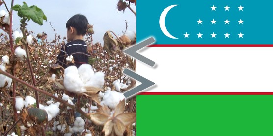 RSE Ouzbékistan : le coton ouzbek exempt de travail forcé