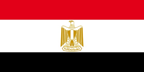 RSE Egypte : le rapport d’Amnesty International sur le respect des droits humains