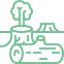 déforestation